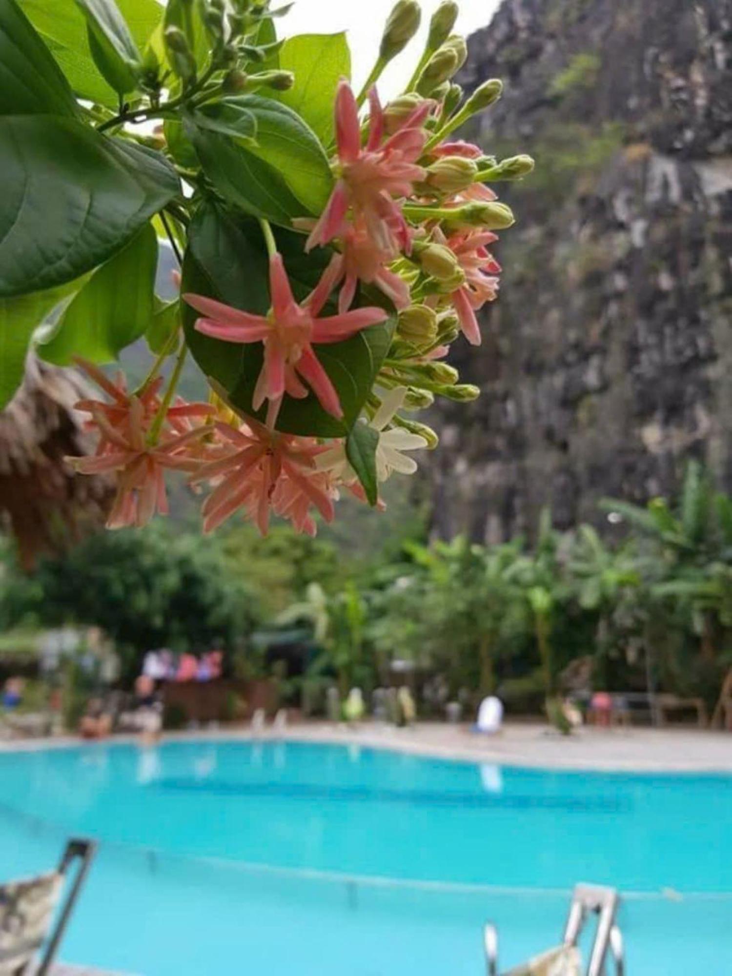 Hoalu Backpacker Homestay Ninh Binh Eksteriør billede